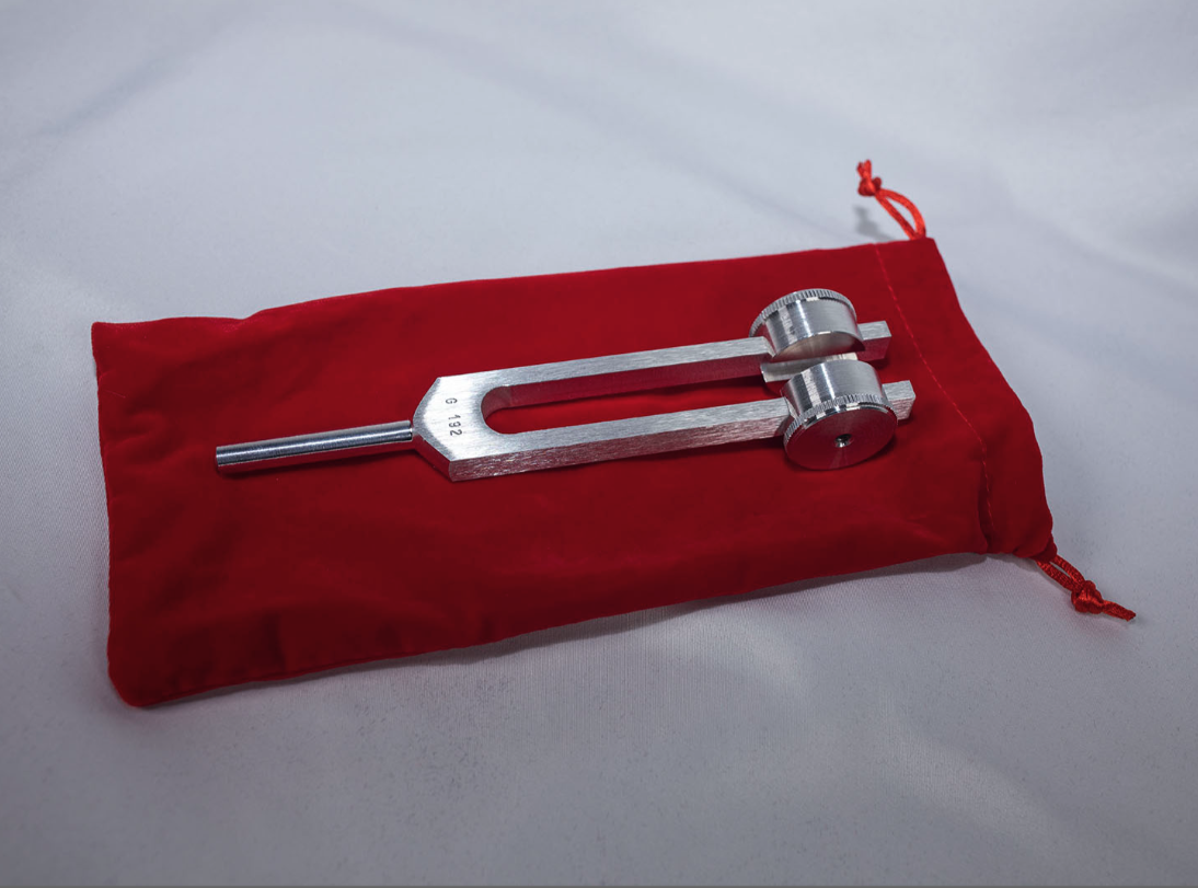 【値下げ】BioSonics 【G 192 】チューニングフォーク Otto Tuning Fork 192 hz — Sound therapy and vibroacoustic treatments